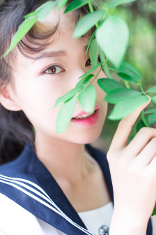 春光乍泄电影详情介绍